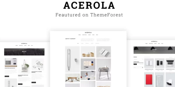 Acerola Ultra Minimalist Agency WordPress Theme 1.6.5 GPL Theme