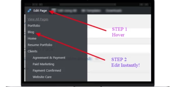 Admin Page Spider Pro Pack 4.50 GPL Plugins