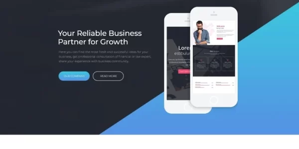 Alianzy Business Partnership WordPress Elementor Theme WordPress Theme 1.0.0 GPL Theme