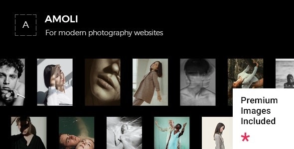 Amoli Fashion Photography Theme 1.0 GPL Theme