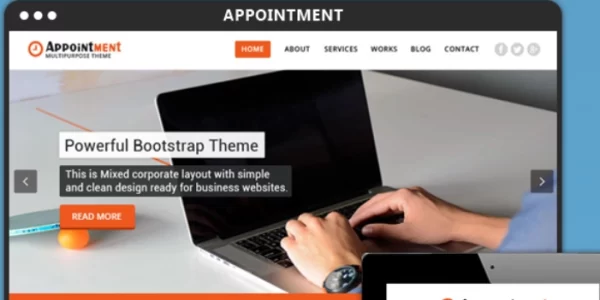 Appointment Pro 2.4.5 GPL Theme