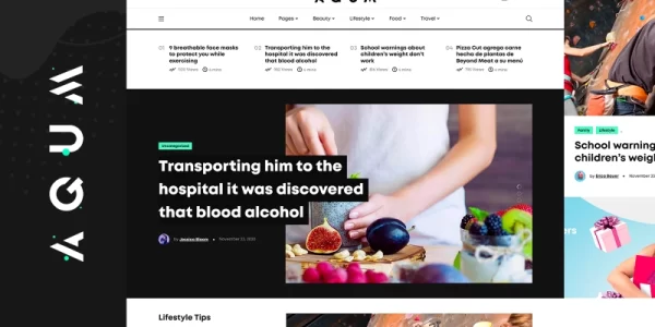Aqum | Contemporary News and Magazine WordPress Theme 1.0.0 GPL Theme