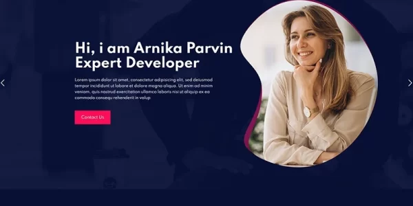Arnika Personal Creative Responsive WordPress Theme 1.0.0 GPL Theme