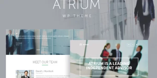 Atrium Finance Consulting WordPress Theme 2.7 GPL Theme