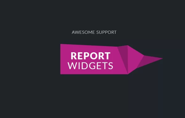 Awesome support Report Widgets 2.0.4 GPL Plugins