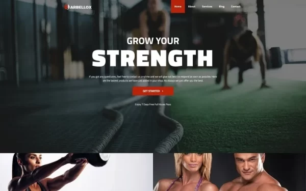 Barbellox Gym Multipurpose Modern WordPress Elementor Theme WordPress Theme 1.0.0 GPL Theme