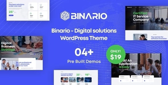 Binario Digital Solutions WordPress Theme 1.2.0 GPL Theme
