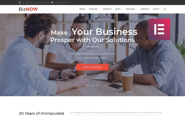 Biznow Business Consulting WordPress Elementor Theme WordPress Theme 1.0.0 GPL Theme