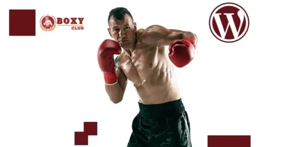 Boxy Boxing And Martial Arts WordPress Theme 1.0.0 GPL Theme