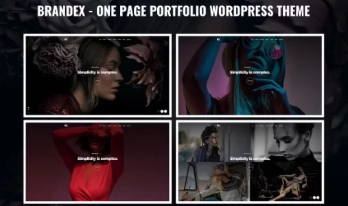 Brandex One Page Portfolio WordPress Theme 1.0 GPL Theme