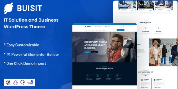 Buisit – IT Solution and Business WordPress Theme 1.0.1 GPL Theme