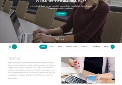 Business Park Pro 2.1.5 GPL Theme