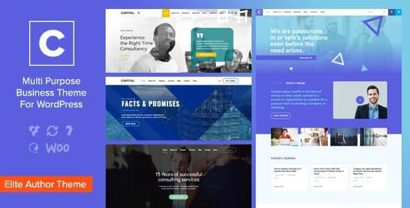Capital Multi Purpose Business WordPress Theme 2.4 GPL Theme