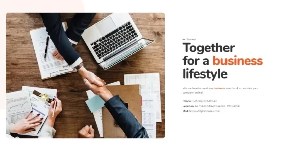 Checkiz Business Marketing WordPress Elementor Theme WordPress Theme 1.0.0 GPL Theme