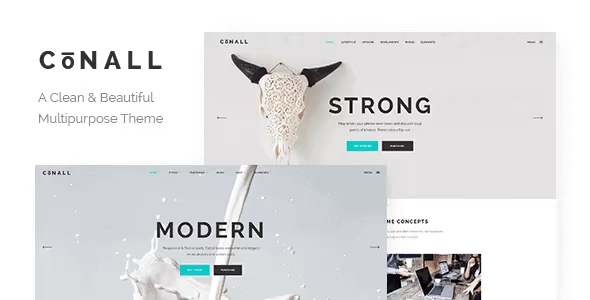 Conall Clean Multipurpose Theme 1.8 GPL Theme