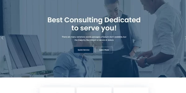 Consalt Consulting Responsive WordPress Theme 1.0.0 GPL Theme