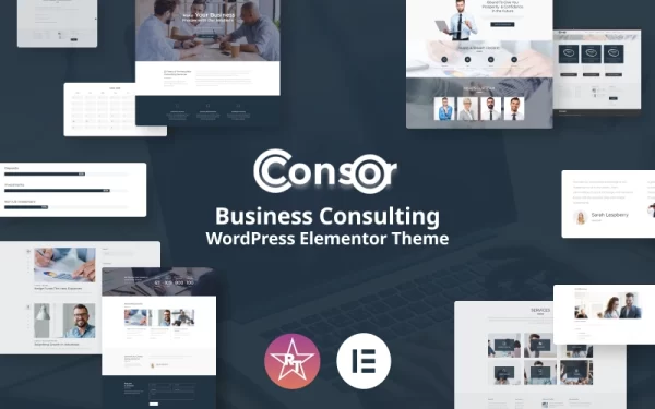 Consor Business Consulting WordPress Elementor Theme WordPress Theme 1.0.0 GPL Theme