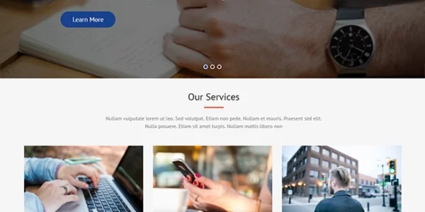 Corpo Eye Pro 2.3.1 GPL Theme