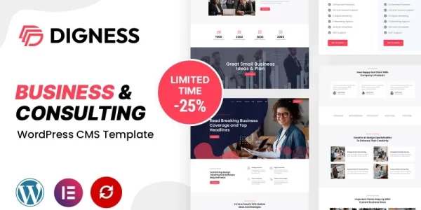 Digness Consulting Business WordPress Theme 1.0.0 GPL Theme