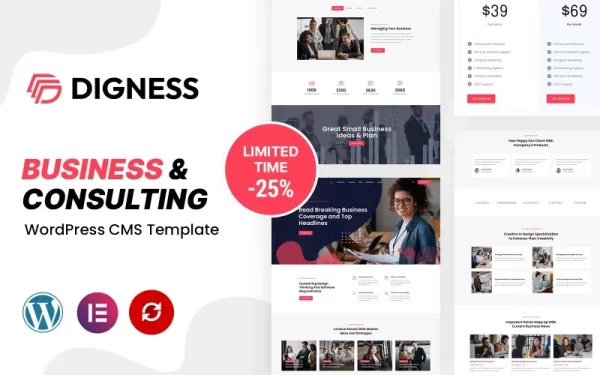 Digness Consulting Business WordPress Theme 1.0.0 GPL Theme