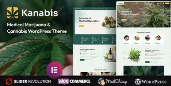 Kanabis Medical Marijuana Cannabis WordPress Theme 1.0.0 GPL Theme