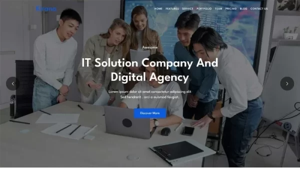 Kirana IT Solution Landing Page WordPress Theme 1.0.0 GPL Theme