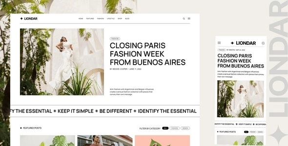 Liondar Modern Magazine Theme 1.0 GPL Theme