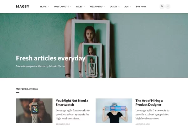 Magsy Modular Magazine Blog Theme 1.3 GPL Theme