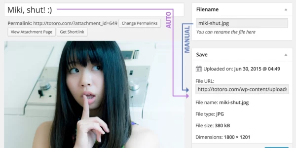 Media File Renamer Pro 5.9.7 GPL Plugins