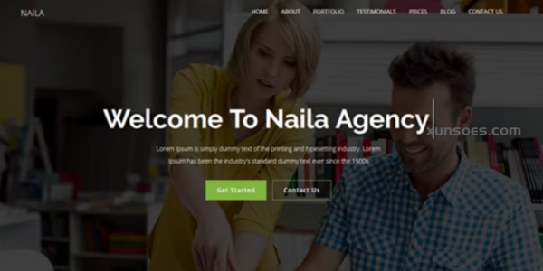 Naila One Page MultiPurpose WordPress Theme 1.0 GPL Theme