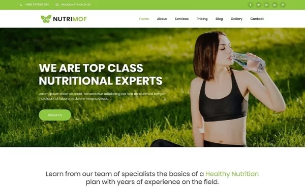 Nutrimof Nutritional Health WordPress Theme 1.0.0 GPL Theme