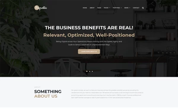 Payrollix Internet Business Accounting WordPress Theme 1.0.1 GPL Theme