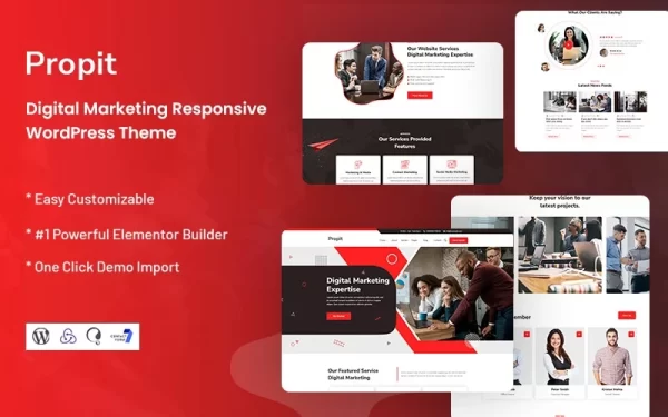 Propit Digital Marketing WordPress Theme 1.0.0 GPL Theme