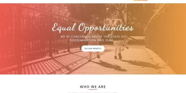 Quidin Charity Fully Responsive WordPress Theme 1.0.0 GPL Theme