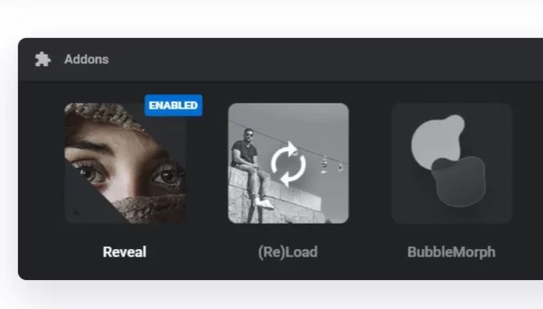 Revslider Reveal AddOn 6.7.3 GPL Plugins