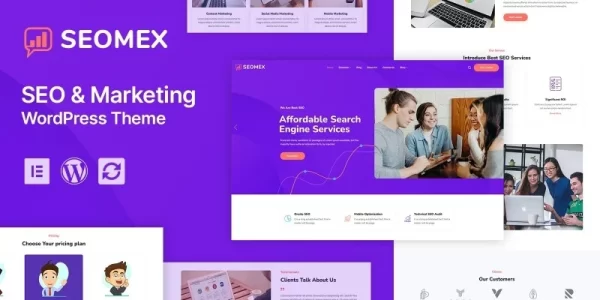 SEOMEX SEO Agency Online Marketing WordPress Theme 1.0.0 GPL Theme