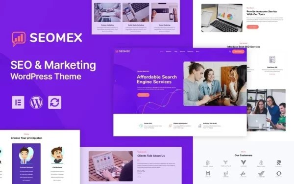SEOMEX SEO Agency Online Marketing WordPress Theme 1.0.0 GPL Theme