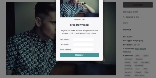 Sell Media Free Downloads 2.1.4 GPL Plugins