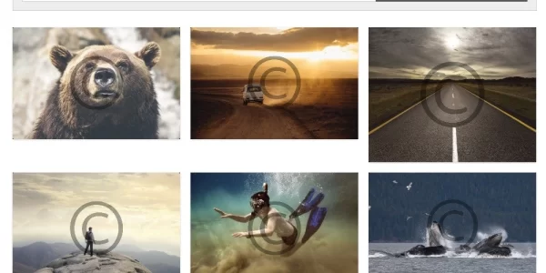 Sell Media Watermark 2.0.4 GPL Plugins