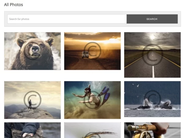 Sell Media Watermark 2.0.4 GPL Plugins