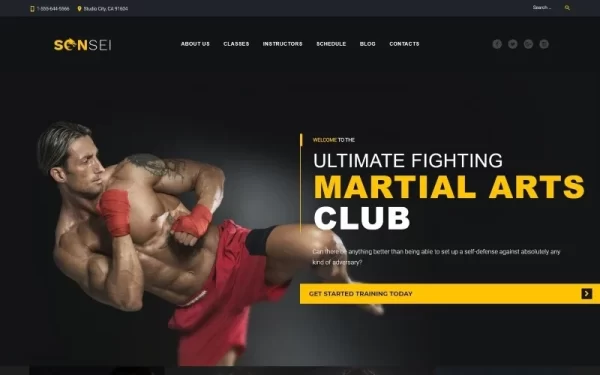 Sensei Martial Arts WordPress Theme 1.0.0 GPL Theme