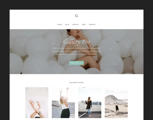 StudioPress Gallery Pro Theme 1.2.0 GPL Theme