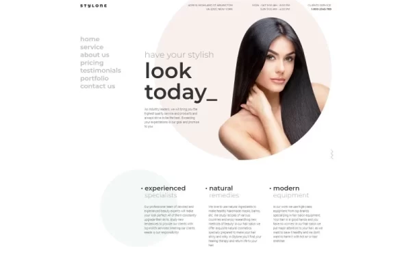 Stylone Beauty Hair Salon WordPress Elementor Theme WordPress Theme 1.0.0 GPL Theme