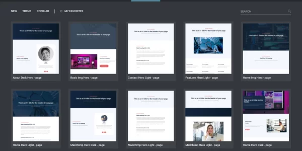 Template Hero Store and Sell Page Template and Block Designs 2.0.4 GPL Plugins