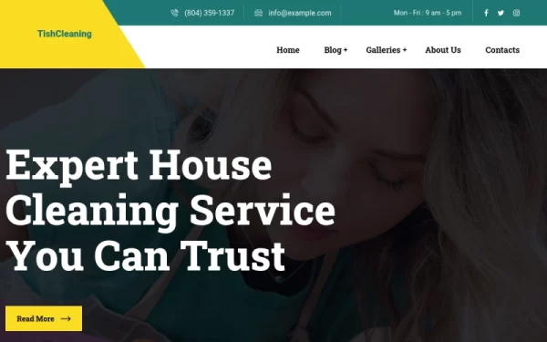 TishCleaning Cleaning Services WordPress Theme 1.0.0 GPL Theme