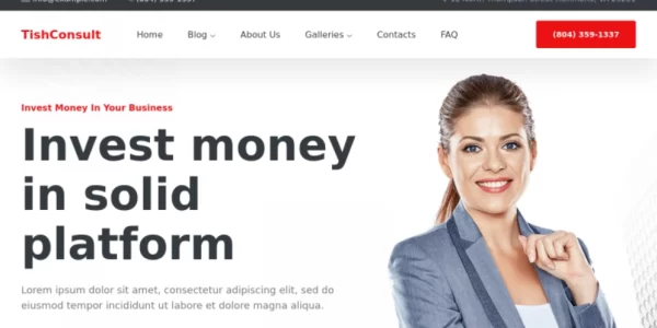 TishConsult Business and Consulting WordPress Theme 1.0.0 GPL Theme
