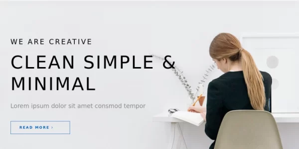 TishCreative Creative Agency WordPress Theme 1.0.0 GPL Theme