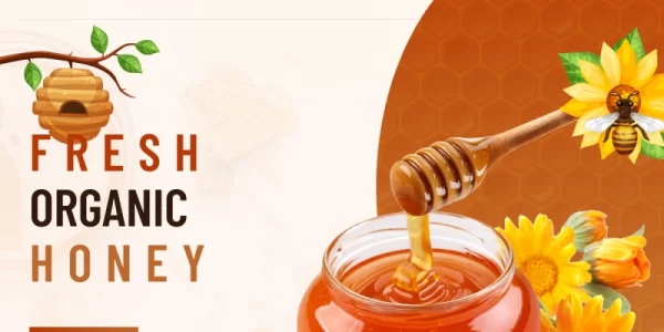 TishHoney Honey Store WordPress Theme 1.0.0 GPL Theme