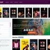Toroplay Toro Themes 3.1 GPL Theme