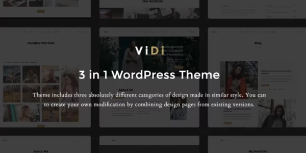 ViDi 3 in 1 Creative WordPress Theme 1.1.2 GPL Theme